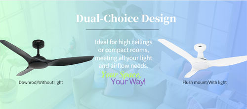 에 대한 최신 회사 뉴스 하나의 팬, 많은 가능성: 1stShine에서 사용자 정의 가능한 옵션