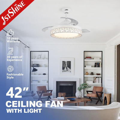 230V AC 모터 1stshine 42 