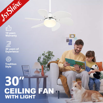 1stshine 백색 블레이드와 6 속도의 천장 팬 라이트 110-240V/50Hz-60Hz 입력 전압