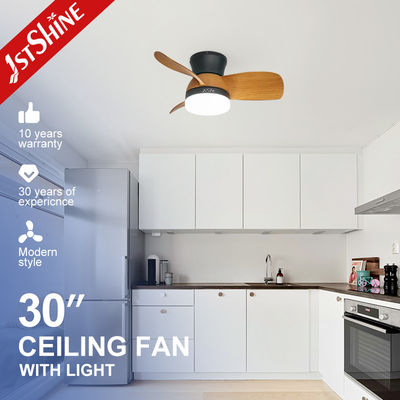110-240V / 50Hz / 60Hz 장식 LED 천장 팬, 물 전송 색상 블레이드 및 조명